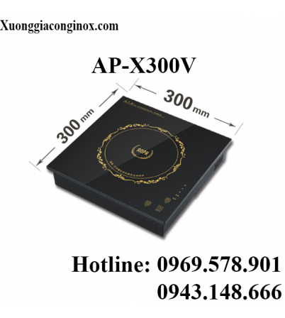 Bếp từ lắp âm vuông 2KW AP-X300V