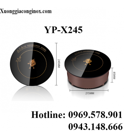 Bếp từ lắp âm tròn YP-X245